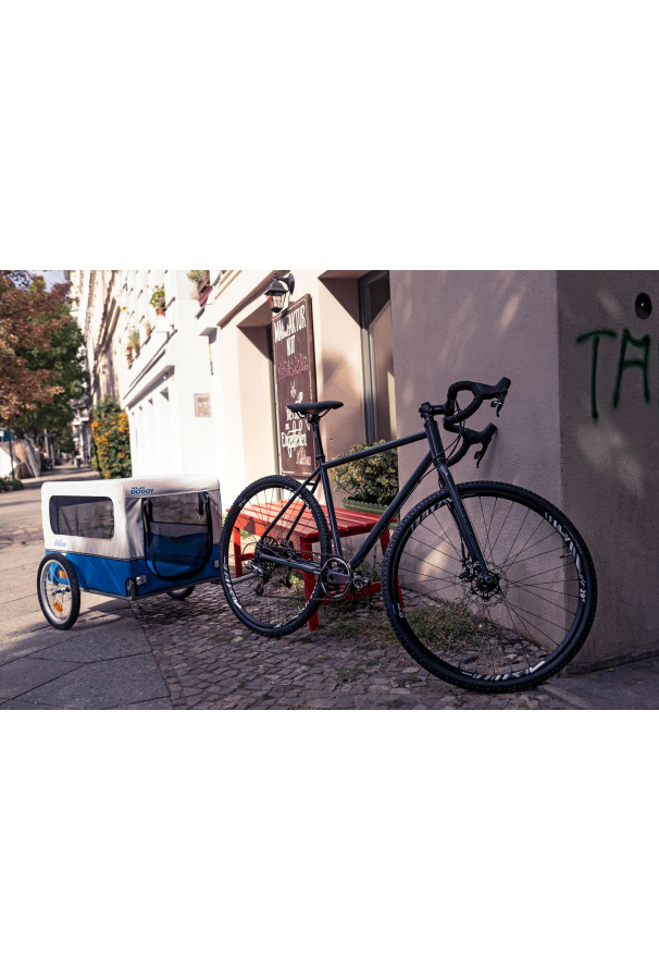 Przyczepka dla psa DOGGY XLC