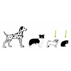 Kosz rowerowy dla zwierząt psa  Basil Buddy MIK